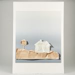 1778&nbsp;2049&nbsp;Färglitografi